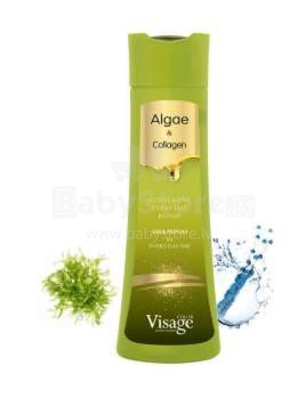 Shampoo Every Day 250ml