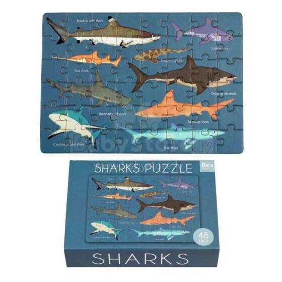 Sharks Matchbox Puzzle, Rex London