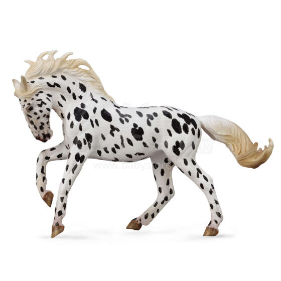 COLLECTA Knabstrupper Mare - melns leopards, (XL), 88720