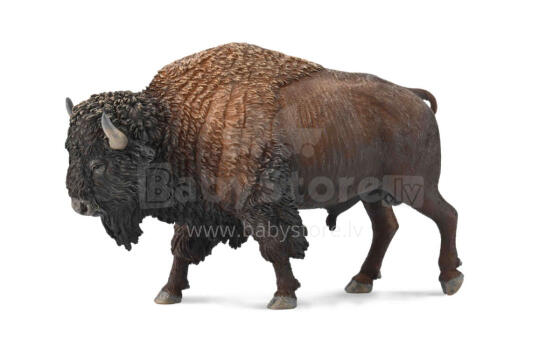 COLLECTA American Bison (XL), 88968