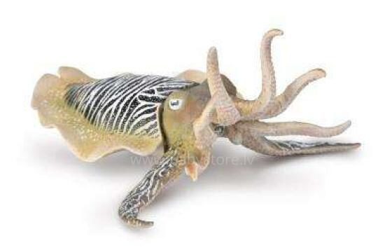 COLLECTA Jūras dzīvnieks Common Cuttlefish (XL), 80009