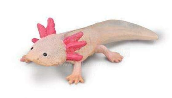 COLLECTA Aksolotls Axolotl (M), 80015