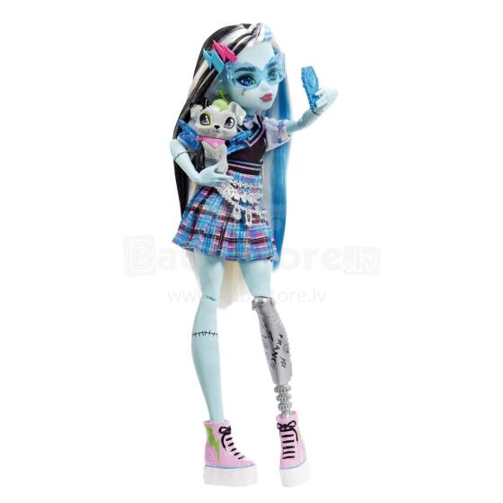 Mattel Monster High Art.HHK53 Кукла Франки