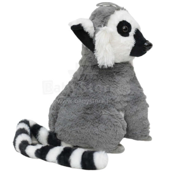 LEMUR DUŻY