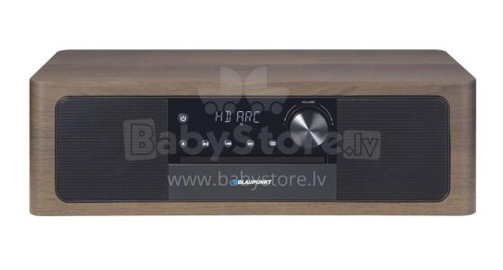 Blaupunkt MS22BT