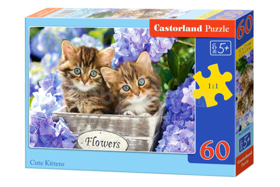 CASTORLAND puzzle Cute Kittens, 60 el., B-066087