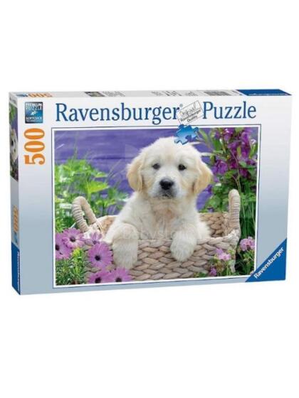 RAVENSBURGER puzzle Sweet golden retriever, 500psc., 14829