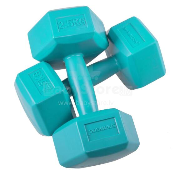 Dumbbell Set Springos FA1033 2 X 2,5kg