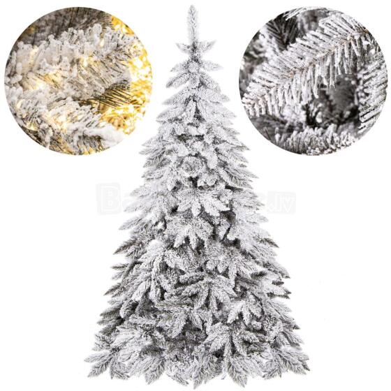 Caucasian snow fir Springos CT0124 180cm