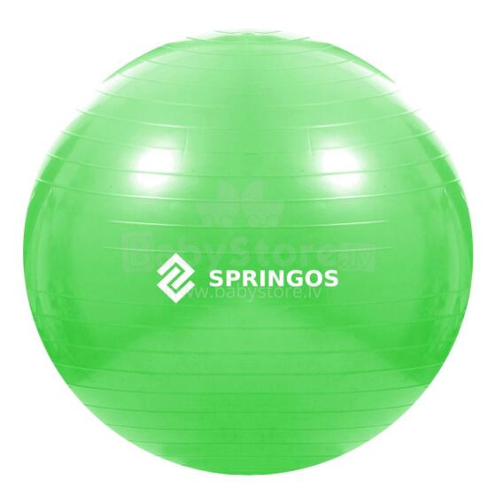 Exercise ball with pump Springos FB0007 65cm