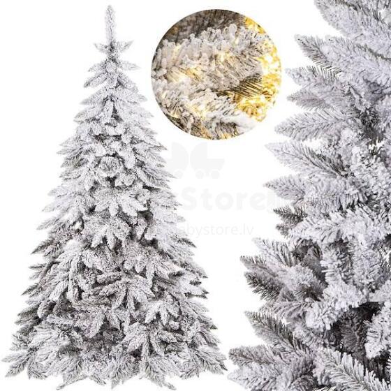 Caucasian snow fir Springos CT0125 220cm