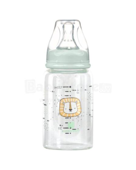 Glass feeding bottle 120ml Savanna Mint
