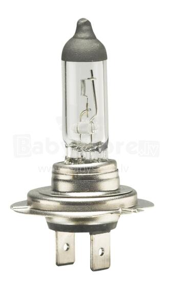 Halogen bulb H7 12V 55W LAMPADA H7