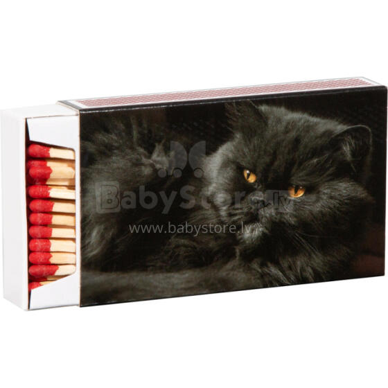 Matches 10cm 55 pcs. in box