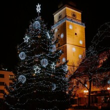 Christmas light garland 1000 LED CL1004