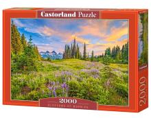 Ikonka Art.KX4364 CASTORLAND Puzzle 2000 elemendid Hommikuse õied - maastik 92x68cm