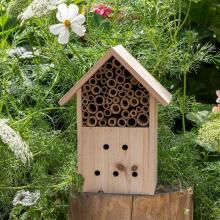 Wonders Of Nature Bug Hotel, Rex London