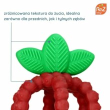 Silicone teether, Juicy Raspberry with leaves, red, RaZbaby
