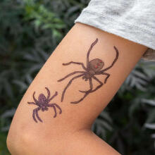 Tattoos, Spiders, Rex London