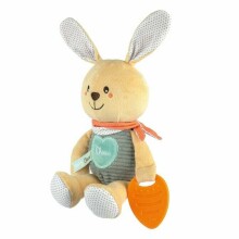 162734 BUNNY WITH A TEETHER