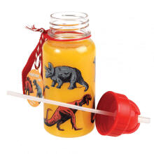 Prehistoric Land Kids Water Bottle, Rex London