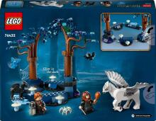 76432 LEGO® Harry Potter™ Aizliegtais mežs: Maģiskās būtnes