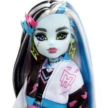 Mattel Monster High Art.HHK53 Кукла Франки