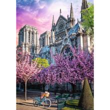 TREFL Premium Plus Пазл Notre-Dame Cathedral of Paris, 1000 шт.