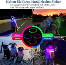 KABB LED Collar for Dogs and Cats Blue