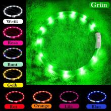 Anicoll LED Collar for Dogs and Cats Green