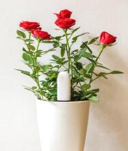 Xiaomi Mi Flower Care Plant Sensor