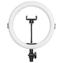 AGFA ARL11 Ring Light + Tripod