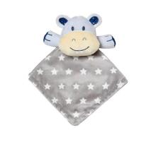 Double-sided minky blanket with the baby’s first little friend