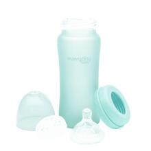 EVERYDAY BABY stikla pudelīte 300ml 6m+ Mint Green 10247