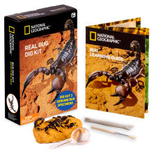 NATIONAL GEOGRAPHIC Kukaiņa Dig Kit, komplekts, NGBUG