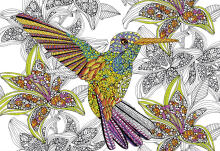 EDUCA colouring puzzle HUMMINGBIRD 300 pcs., 17083