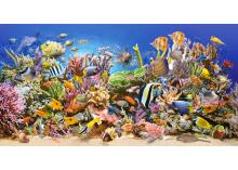 CASTORLAND puzzle Underwater Life, 4000 el.  C-400089-2