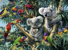 RAVENSBURGER puzle Koalas kokā, 500 gab., 14826