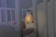 Zazu Phoebe Soft toy with night light