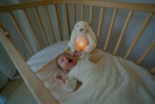 Zazu Ro Art.ZA-RO-03 White Soft toy with night light