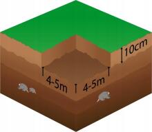 Anti-mole net Springos AN0002 30g/m2 2x100 m