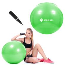 Exercise ball with pump Springos FB0007 65cm