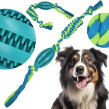 Dog toy Springos PA0292