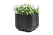 Puķu pods Cube Planter S pelēks