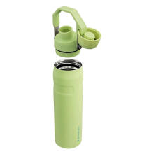 The Aerolight IceFlow Water Bottle Fast Flow 0,6L light green 