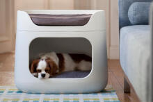 Pet transport and sleeping box 3in1 60x40,5x51cm